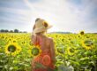 woman, sunflowers, nature-3640935.jpg