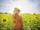 woman, sunflowers, nature-3640935.jpg
